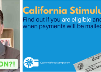 “캘리포니아 올해 1인 당 1100달러 경기 부양금 지급가능”