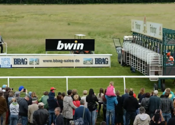 [영상 시론] “백락이 있어야 천리마도 있다”