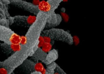 오미크론, 100년만에 가장 많은 환자 나온 질병