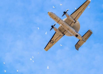 공항들 “새들과 전쟁중”…팬데믹에 사람 사라진 활주로