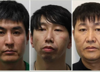 한국 국적 2명 포함 3인조 도난차량 판매 사기단 적발