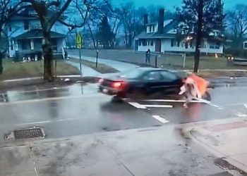 돌진 승용차서 몸 던져 중학생 구한 미 여성경찰 ‘커뮤니티 영웅’