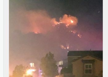 아주사 지역 주택가 인근서 산불