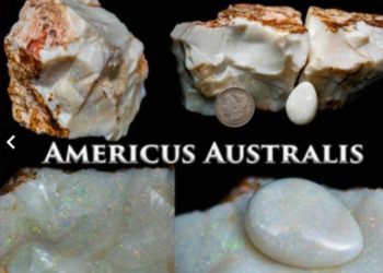 ‘1만1800캐럿’ 세계 최대 오팔, 알래스카 경매서 팔려