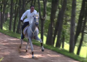 [지금 북한은] 고도비만 김정은, 승마로 체중감량?…실제 효과 있어