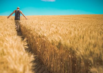 “세계 식량값 올해도 치솟나”…미 농가비용 줄줄이 올라