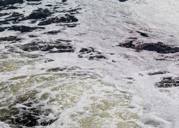 뉴욕시 하수서 정체불명 코로나 변이 무더기 발견