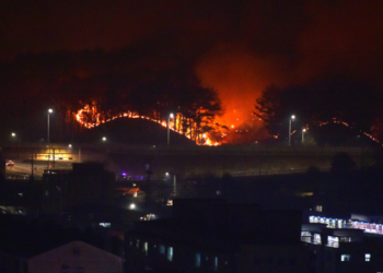 한국 대형 산불..경북, 강원 재난사태 선포