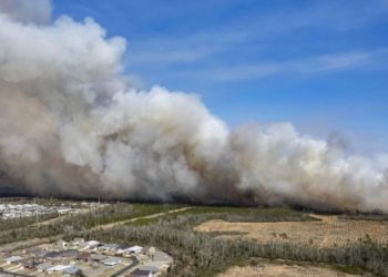 플로리다서 대형 산불 동시다발 발생..1100가구 대피