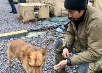 “이근, 예비군 불참해놓고…출국땐 협찬가방 홍보까지”