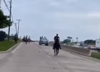 말 탄 주민들 거리 곳곳 등장..개스값때문에?(영상)