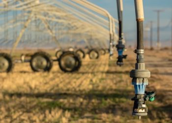 캘리포니아 물부족 극심, 농업용수 요청분 5%만 공급