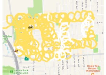 90분간 경찰 약 올리며 초저속 추격전(영상)