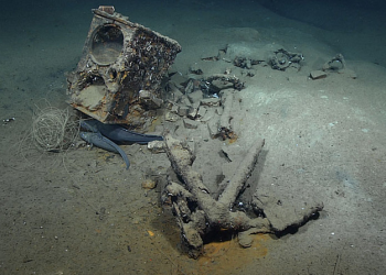 1800미터 해저서 200년 전 난파 포경선 잔해 발견