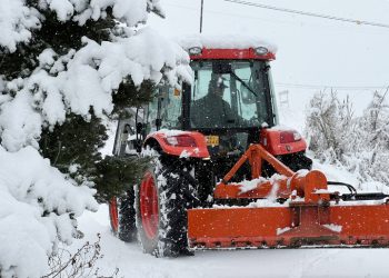 [한국에선] 춘분 앞두고 80cm 넘는 기습 폭설