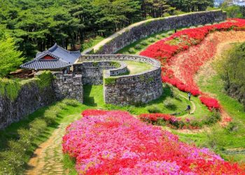 [한국 가면] “꽃길만 가보자”한국관광공사 추천 가볼 만한 곳