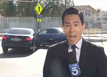 한인 기자, 뺑소니 사고 보도 중 또 뺑소니 사고