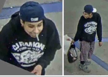 글렌데일서 길가던 여성 ‘묻지마 폭행’ 당해(영상)