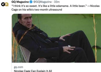 ‘1억 5천만달러 탕진’ 니콜라스 케이지, VOD 영화로 빚갚아