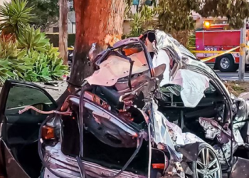 ‘람보르기니 살인질주’ 합의금 1885만달러..역대 최고액,