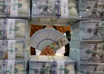 미국 달러, 국제 기본 통화 지위 잃을지도