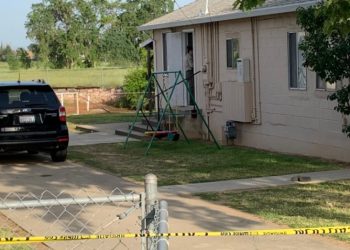 두 자녀 고의 익사 살해, ‘인면수심’ 여성 체포