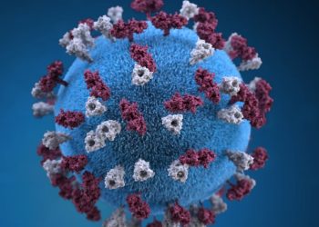 BA.4, BA.5 오미크론 하위변이 또 나와