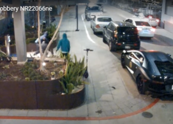 부유층 타겟 연쇄미행강도 221건, 사우스LA 17개 갱단 연루