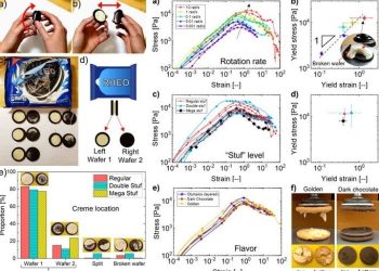 오레오의 과학…왜 한쪽 과자에만 크림이 붙을까?