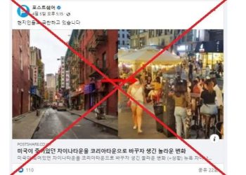“차이나타운이 코리아타운으로 변신했다고??”..  SNS 가짜뉴스 확산