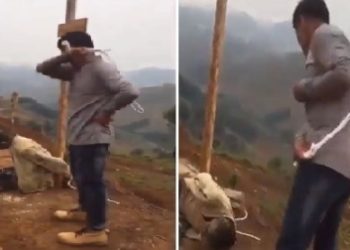 르완다 법원, 자국민 나무에 묶고 채찍질한 중국인에 중형