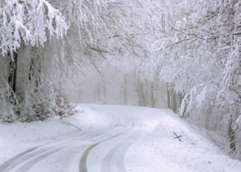 폭설 갇힌 북가주 여성, 6일 만에 구조…”눈, 요거트로 연명”