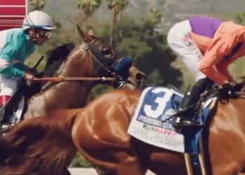 산타아니타 경주마 2마리 또 폐사..올해 5마리 사고사