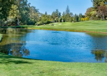 [이런 일도] 골프장 연못 빠져 사망, 공 주우려다