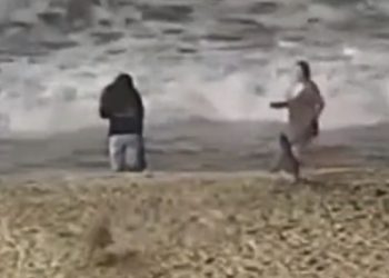 해변 산책 중 2살 아이 코요테 물려(현장 영상)