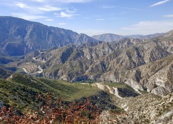 ‘팬데믹 폐쇄’ 앤젤레스 포리스트, 1일부터 재개장