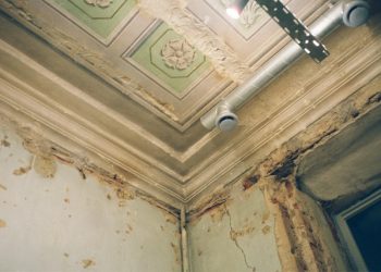 악취와 곰팡이 뒤덮인 아파트, 주민들 고통 호소