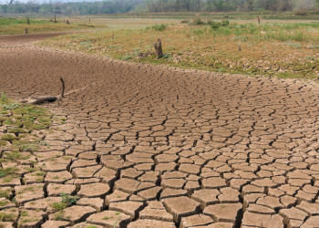 ‘가뭄 초비상’  9월부터 야외 물사용 전면금지 예고