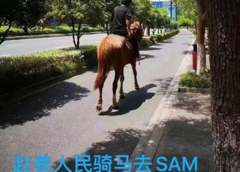 ‘차량금지’ 상하이, “말 타고 시장 갑니다”