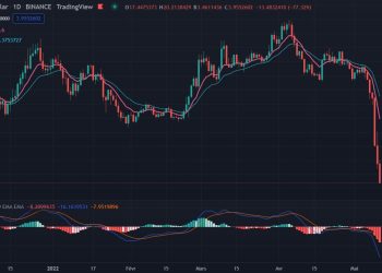 한국산 코인 루나·테라 폭락, 전세계 충격파..119달러→12센트, 연방의회 규제촉구