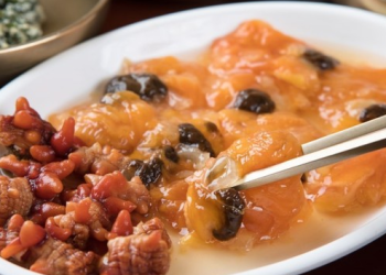 스탠포드대 연구진 “멍게 먹으면 노화 막을 수 있다”