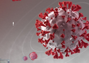 스텔스 오미크론보다 더 빠른 BA.2.12.1 중국서 첫 감염자