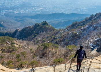 외국인 82.3% “서울 산 오르고 싶어요”