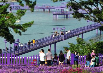 [한국 가면] ‘가고싶은 섬 테마 기차여행’ 대박, 관광객 25배↑