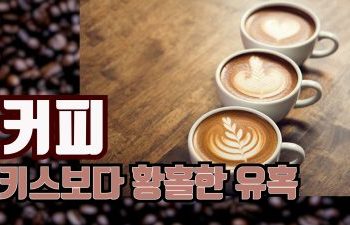 [영상] 아라비카 원두가 사라진다