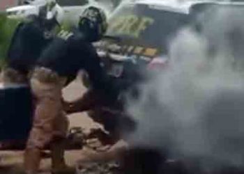 최루탄 가득 찬 경찰차 갇힌 흑인 남성 질식사…브라질