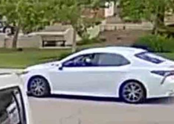 차량촉매변환기 절도 기승…대낮 버젓이 절단 작업