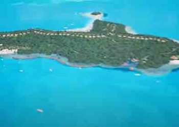 [논쟁] WP “크립토랜드, 유토피아인가 사기극인가”