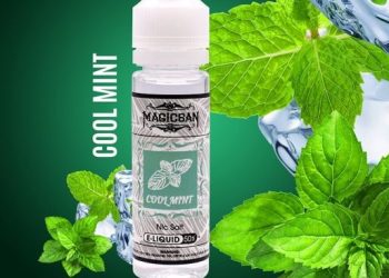 LA시 내년 1월부터 멘솔 등 가향 담배제품 판매 금지