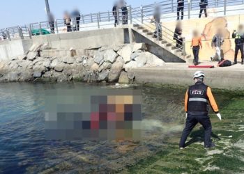 남매 탄 차량 추락했는데 여동생만 사망…오빠 잠적